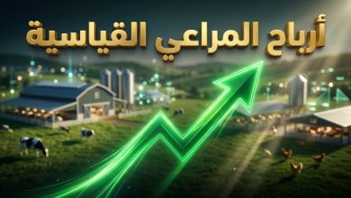 رسم بياني صاعد يوضح الأرباح القياسية لشركة المراعي السعودية في قطاعي الألبان والدواجن