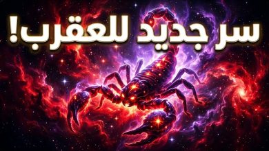 برج العقرب حظك اليوم الجمعة 17 أبريل 2026