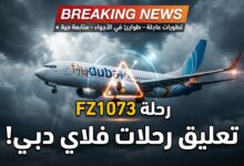 فلاي دبي تعلن تعليق رحلاتها من وإلى إسرائيل إثر الحادث الأمني
