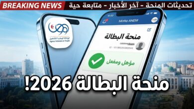 منصة منحة البطالة Minha ANEM 2026 وطريقة الاستعلام والتسجيل