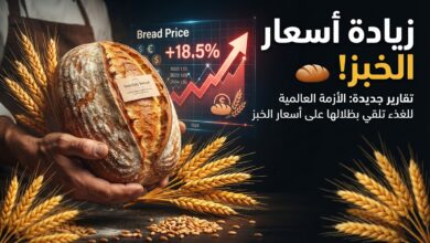 زيادة أسعار الخبز السياحي قيد الدراسة في مصر