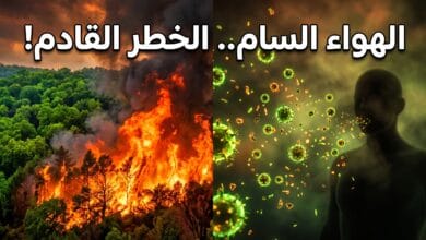دخان حرائق الغابات يطلق جسيمات دقيقة سامة في الهواء