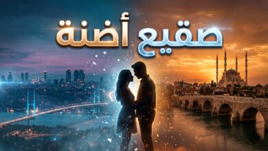 تفاصيل قصة وأبطال مسلسل صقيع أضنة التركي الجديد